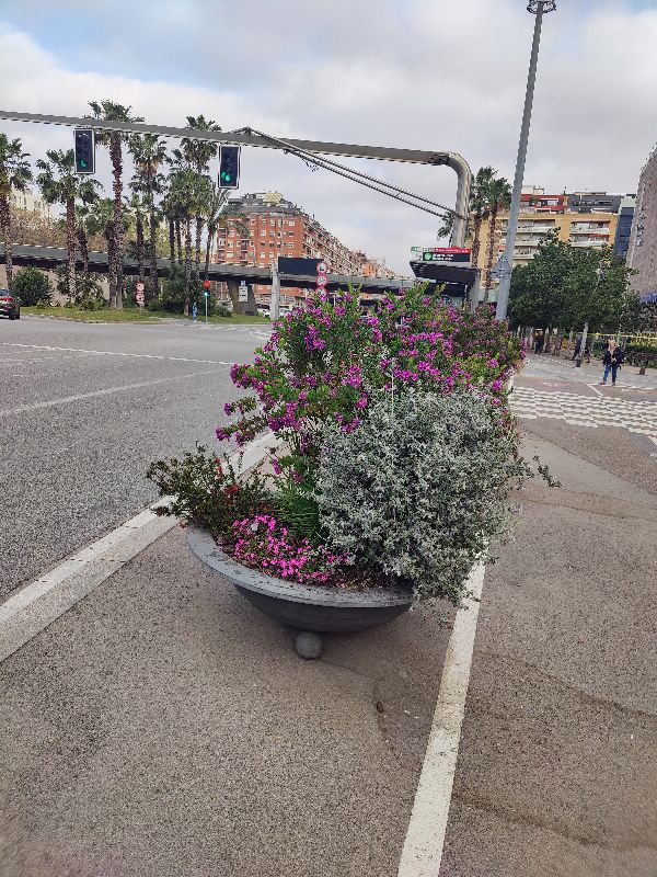 Présentation des Jardinières