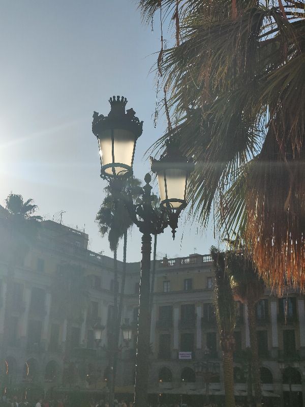 Les Différents Types de Lampadaires