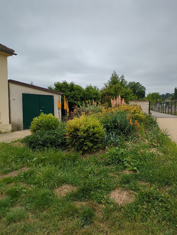 Réglementations et normes des Espaces verts