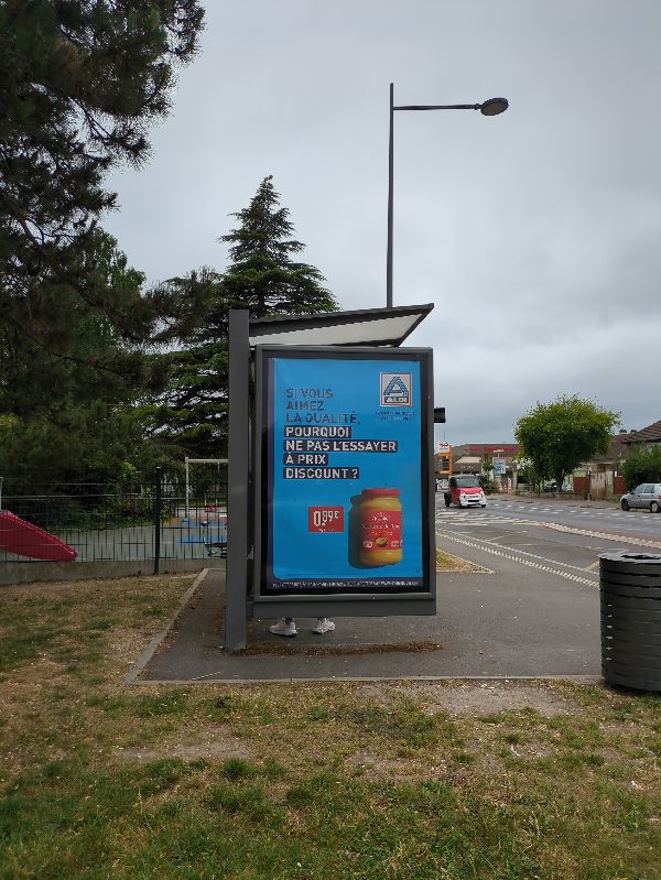 Avantages des Abribus pour les Transports Publics