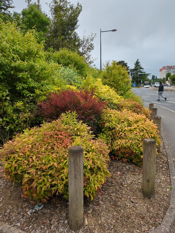 3. Gestion et entretien des Espaces verts