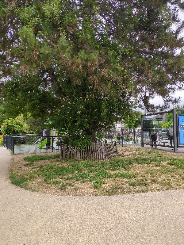 1. Les Normes de Sécurité des Espaces verts