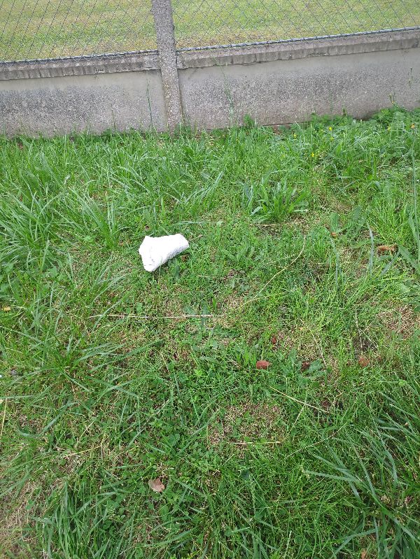 Les Différentes Catégories de Déchets