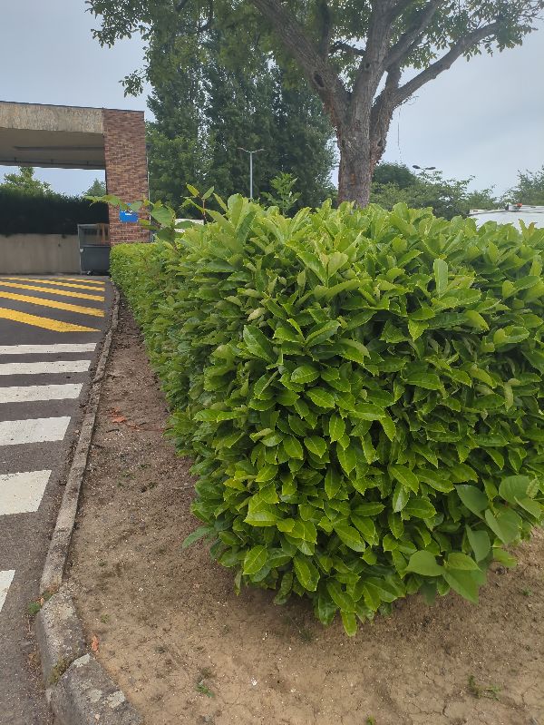 3. Réglementations liées à l'Aménagement Urbain et au Zonage